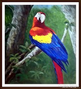 John Reibl - Parrot (large oil painting 53 x 58)
