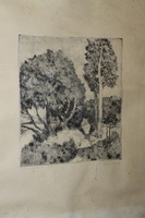 István Biai föglein etching 724