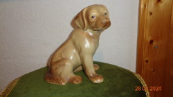 Labrador, puppy, marked, 13 x 16 cm