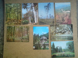 8 db. erdőt és tájképet ábrázoló képeslap