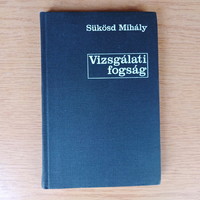Mihály Süzd - pretrial detention