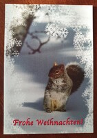 Christmas postcard postcard greeting card postcard with squirrel pattern