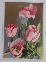 Régi grafikus virágos üdvözlő képeslap, postatiszta, tulipánok