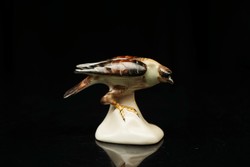 Old aquincum hand-painted porcelain bird figurine / retro