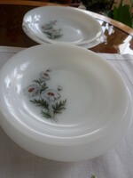 Chamomile-patterned two-person flat/deep plates from Jena, with a milk glass face to make up for the gap.