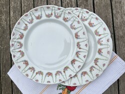 Gyönyörű szecessziós porcelán tányér pár, kínáló, csodaszép virág girlandos dekorral
