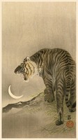 Ohara Koson: Tigris és újhold, japán fametszet, kitűnő minőségű reprint nyomat falikép