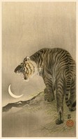 Ohara Koson Tigris és újhold japán fametszet shin hanga ázsiai keleti reprint reprodukció nyomat kép