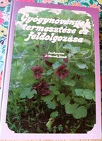 Dr Hornok László: Gyógynövények termesztése és feldolgozása című könyv eladó.