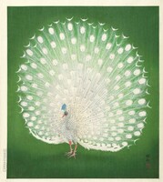 Ohara Koson: Fehér páva, kacho-e japán fametszet, kitűnő minőségű reprint nyomat falikép