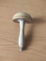Wood hitchhiking mushroom