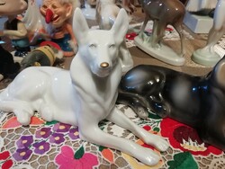 A rare white dog from an antique porcelain collection