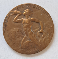 Berán Lajos (1882-1943) 1935. "Magyar Evezős Szövetség" kétoldalas, 50 mm bronz érem(95)