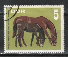 Horses 0085