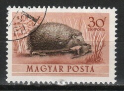 Animals 0358 Hungarian