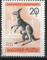 Animals 0361 Hungarian