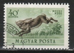 Animals 0359 Hungarian