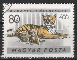 Animals 0366 Hungarian