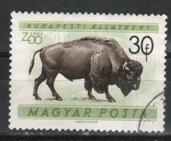 Animals 0362 Hungarian