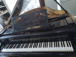 Rudolf stelzhamer piano