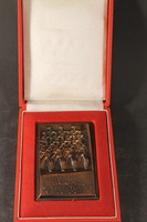 Szoreal bronze plaque in box 928