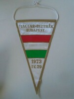 D202139 football - Hungarian national team 1973 iv.29 Flag 190 x 110 mm