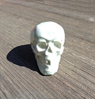 Porcelain skull