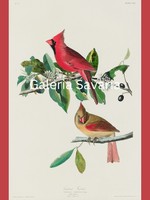 Reproduction of an antique print depicting a pair of beautiful red birds 40*30 cm