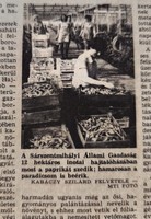 1984 szeptember 26  /  Népszabadság  /  Ssz.:  16972