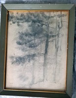 László Mednyánszky: Tatra pine graphic sketch. Size: 23x30 cm