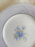 A forget-me-not plate is beautiful