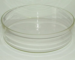 Glass bowl with a diameter of 31 cm