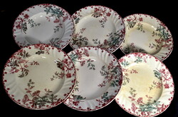 Around 1880-1890 French longwy antique faience plate set! With a beautiful pattern!