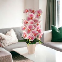 Kétszálas élethű fehér, rózsaszín orchidea kaspóban
