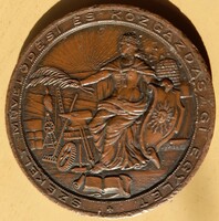 Székely Cultural and Economic Association 1886 commemorative medal. 50 mm