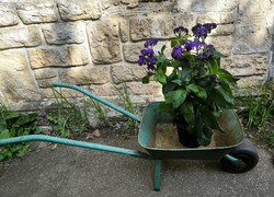 Garden flower holder, non-pot wheelbarrow, smaller size, terrace garden, garden ornament decoration