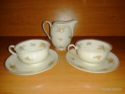 Web reichenbach porcelain coffee cup in pairs with spout (4 / k)