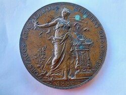 1885 Coin 6.5 cm