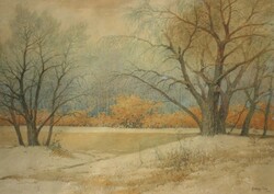 Gyökössy Lajos (1880-) : Folyóparti fák