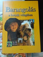 Wandering in the world of dogs book
