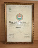 High school certificate of mushroom knowledge 1977. In a glazed picture frame 23*32 cm