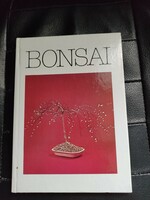 Bonsai judge Lajos-Japanese garden art - bonsai.