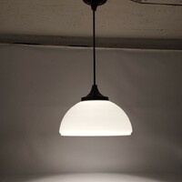 Gallery / industrial art pendant lamp