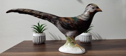 Beautiful hand-painted Bodrog Kresztúr 32cm pheasant in perfect condition!