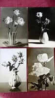 1960-1963. Rózsát ábrázoló, fekete- fehér képeslapok
