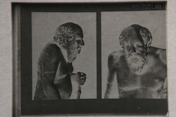 Glass negative of 18 ancient Greek statue heads, original Perutz German
