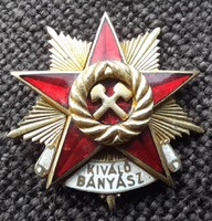 Outstanding miner's badge, pin. 30mm.