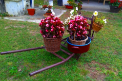 Old, retro iron garden wheelbarrow, wheelbarrow, large nostalgia piece, village decoration (approx. 160 Cm)