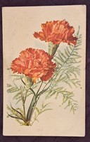 Old floral postcard 12 (m4718)