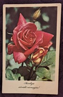 Régi virágos képeslap 9 (M4715)